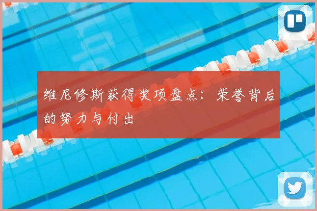维尼修斯获得奖项盘点:荣誉背后的努力与付出