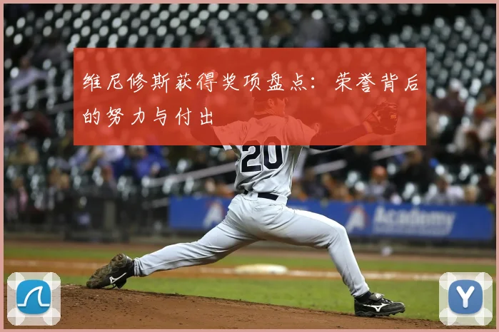 维尼修斯获得奖项盘点:荣誉背后的努力与付出