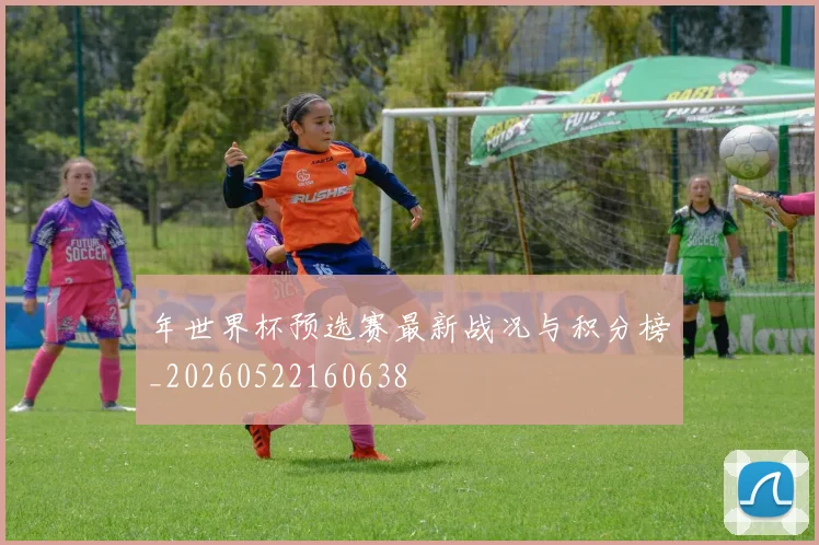 年世界杯预选赛最新战况与积分榜_20260522160638
